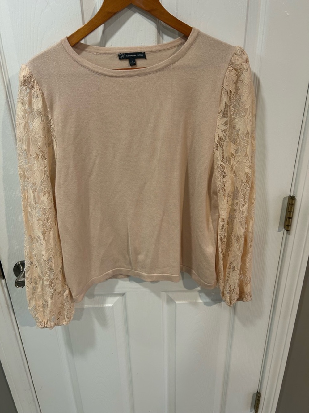 Adrianna Papell Blush Lace-Sleeve Crewneck Top